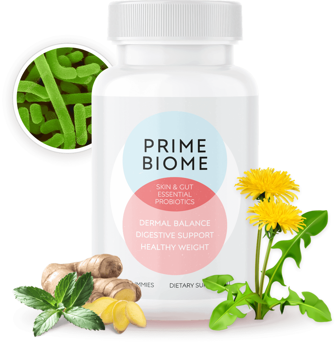 PrimeBiome Discounted offer -$300 Get it today before offer ends.